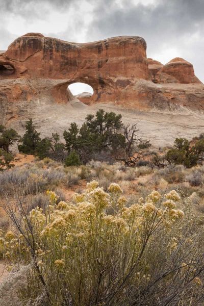USA, Utah, Arches NP Scenic of Tunnel Arch